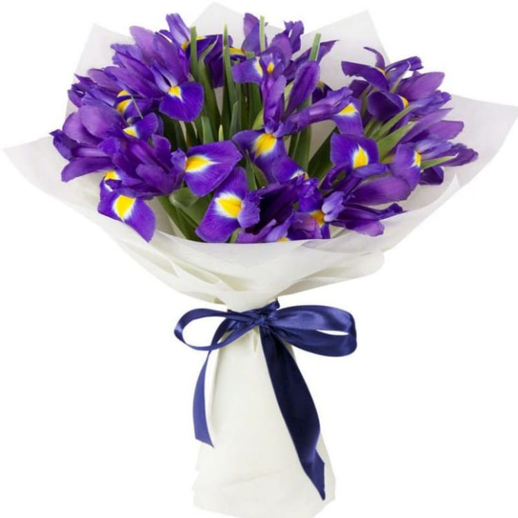 Волна от 4 600 руб.